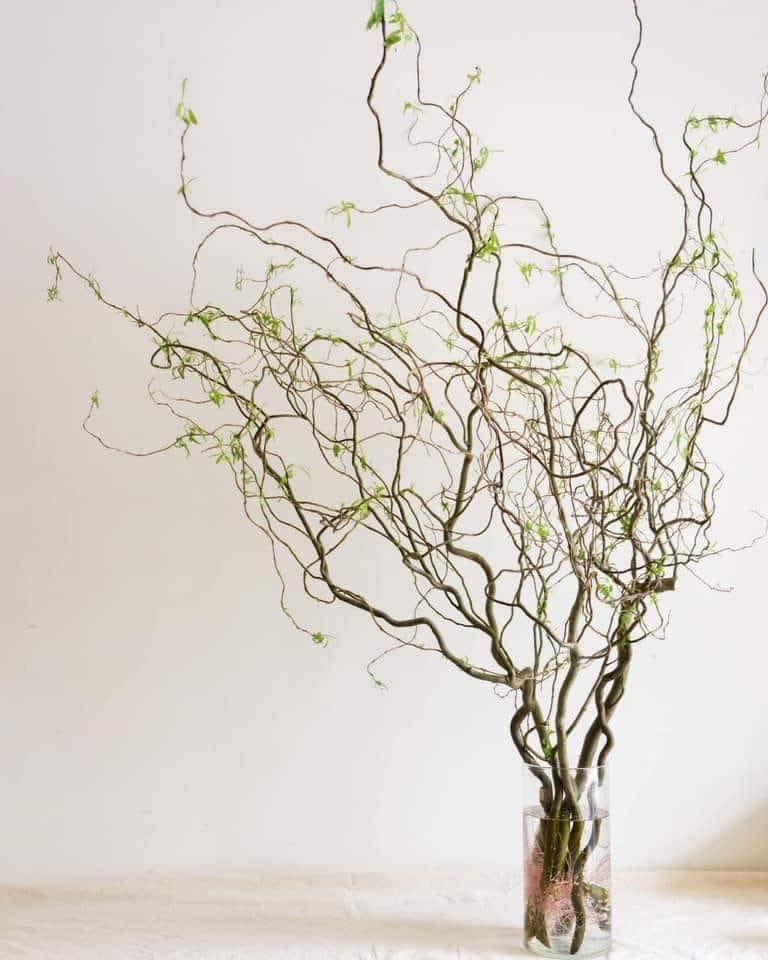 Đua nhau mua cành củi khô xoăn tít” về trưng, dân buôn ngày bán trăm bó-4