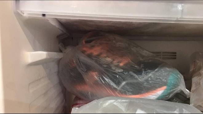 Chồng say xỉn bỏ nhầm giày vào tủ lạnh, sáng hôm sau tôi phát hiện điều kỳ diệu xảy ra-2