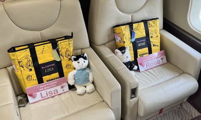 Bên trong chuyên cơ xa xỉ đưa BlackPink đến Hà Nội biểu diễn-5