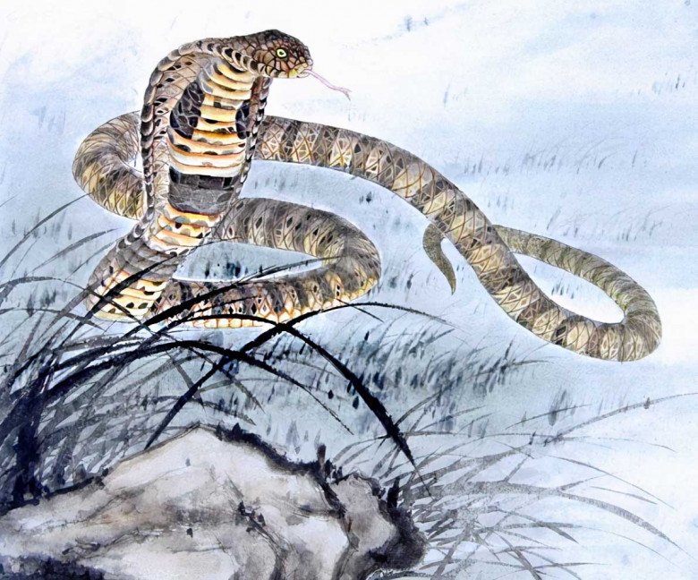 4 con giáp keo kiệt” với bản thân nhưng rất hào phóng với gia đình-4