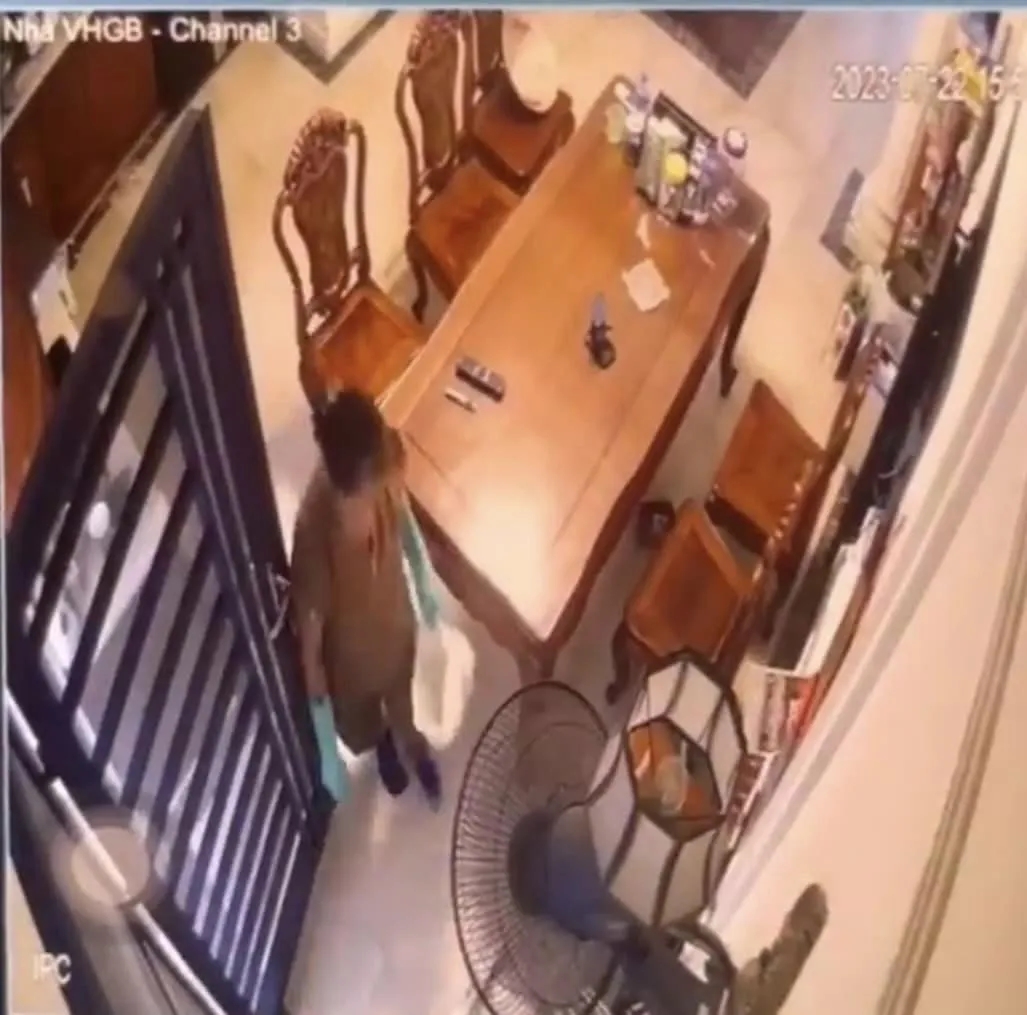 Người giúp việc lạnh lùng tra tấn chú chó, chủ nhà bàng hoàng khi xem camera-1