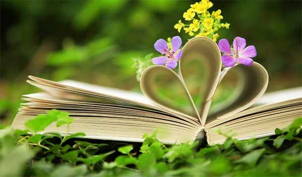 Tử vi ngày 29/7/2023 của 12 cung hoàng đạo: Song Tử tự giác, Bọ Cạp cô đơn-2