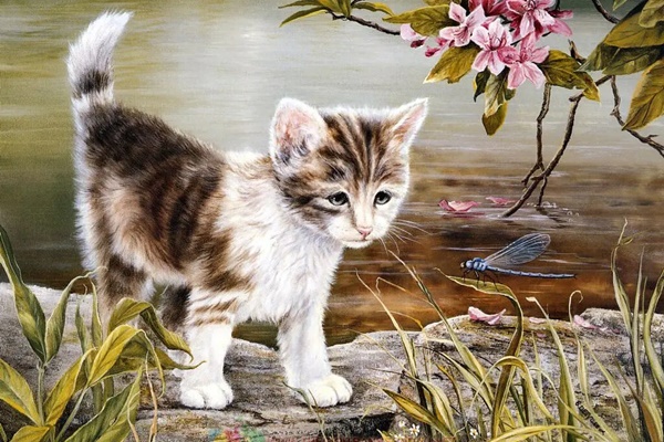 Trời ban phước lành: Ngày sinh Âm lịch kết thúc bằng 3 số này cả đời tận tụy, hậu vận no đủ-4