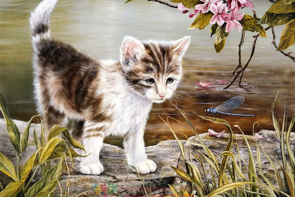 Đón mùa bội thu: 3 con giáp hái ra tiền trong tháng 6 Âm lịch, sự nghiệp như diều gặp gió-4