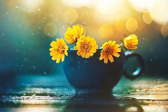 Tử vi ngày 30/7/2023: Tuổi Sửu dễ vướng rắc rối, tuổi Mão nên thực tế hơn