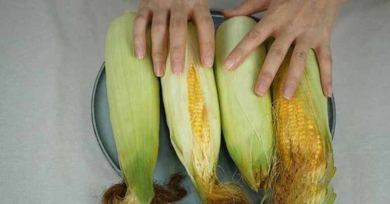 Boiling corn, don't let the water get cold, add these 2 things to get it sweet and nutritious-7