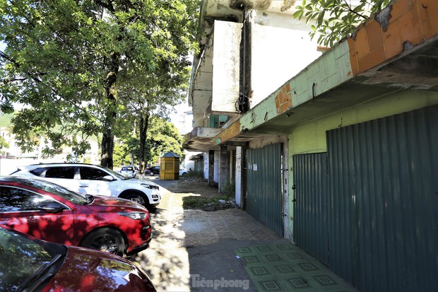 Đất vàng giữa trung tâm thành nơi... chăn bò, đổ rác-3