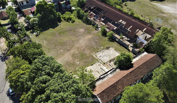 Đất vàng giữa trung tâm thành nơi... chăn bò, đổ rác-10