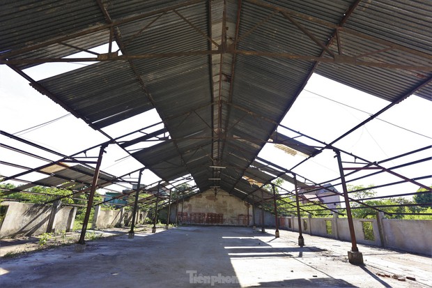 Đất vàng giữa trung tâm thành nơi... chăn bò, đổ rác-12