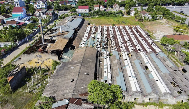 Đất vàng giữa trung tâm thành nơi... chăn bò, đổ rác-15