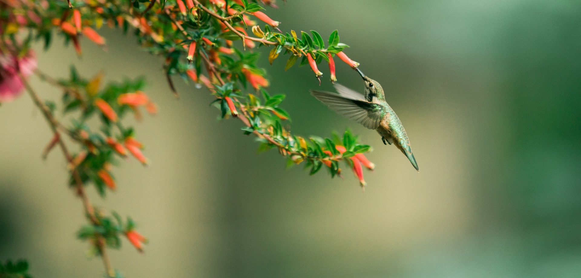Vạn sự tốt lành: 4 con giáp không còn áp lực trong tháng 8, thu nhập tăng nhanh, tự tin nhảy vọt-2