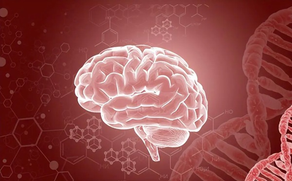 Đau ở 4 bộ phận này có thể là điềm báo ung thư, bác sĩ khuyến cáo không nên coi thường-2