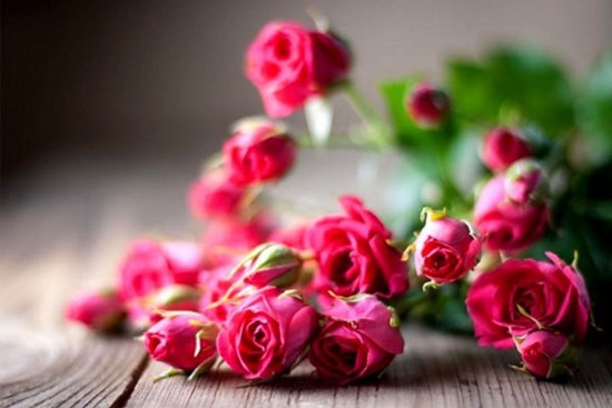 Tử vi tuần mới 31/7 - 6/8/2023: Tuổi Tý thử thách xuất hiện, tuổi Tỵ may mắn kề bên