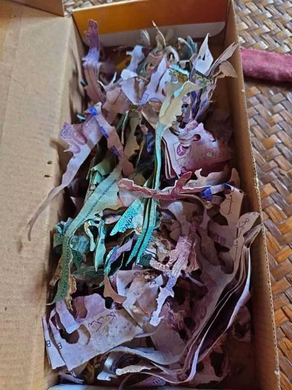 Cất giữ tiền tiết kiệm cả đời trong chiếc hộp cũ, cụ bà đau đớn khi mở ra sau thời gian dài-1