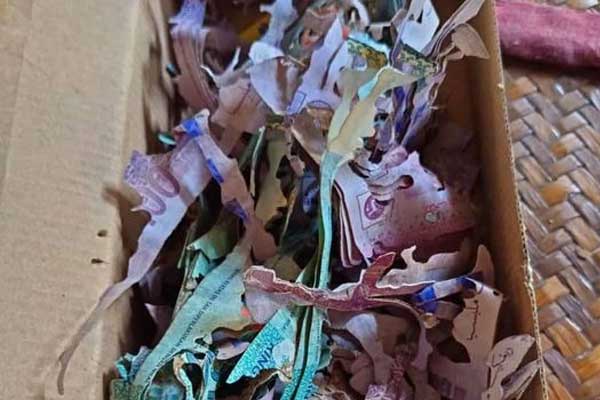 Chỉ ăn cơm với dưa, người đàn ông tiết kiệm được 15 tỷ đồng để nghỉ hưu sớm-4