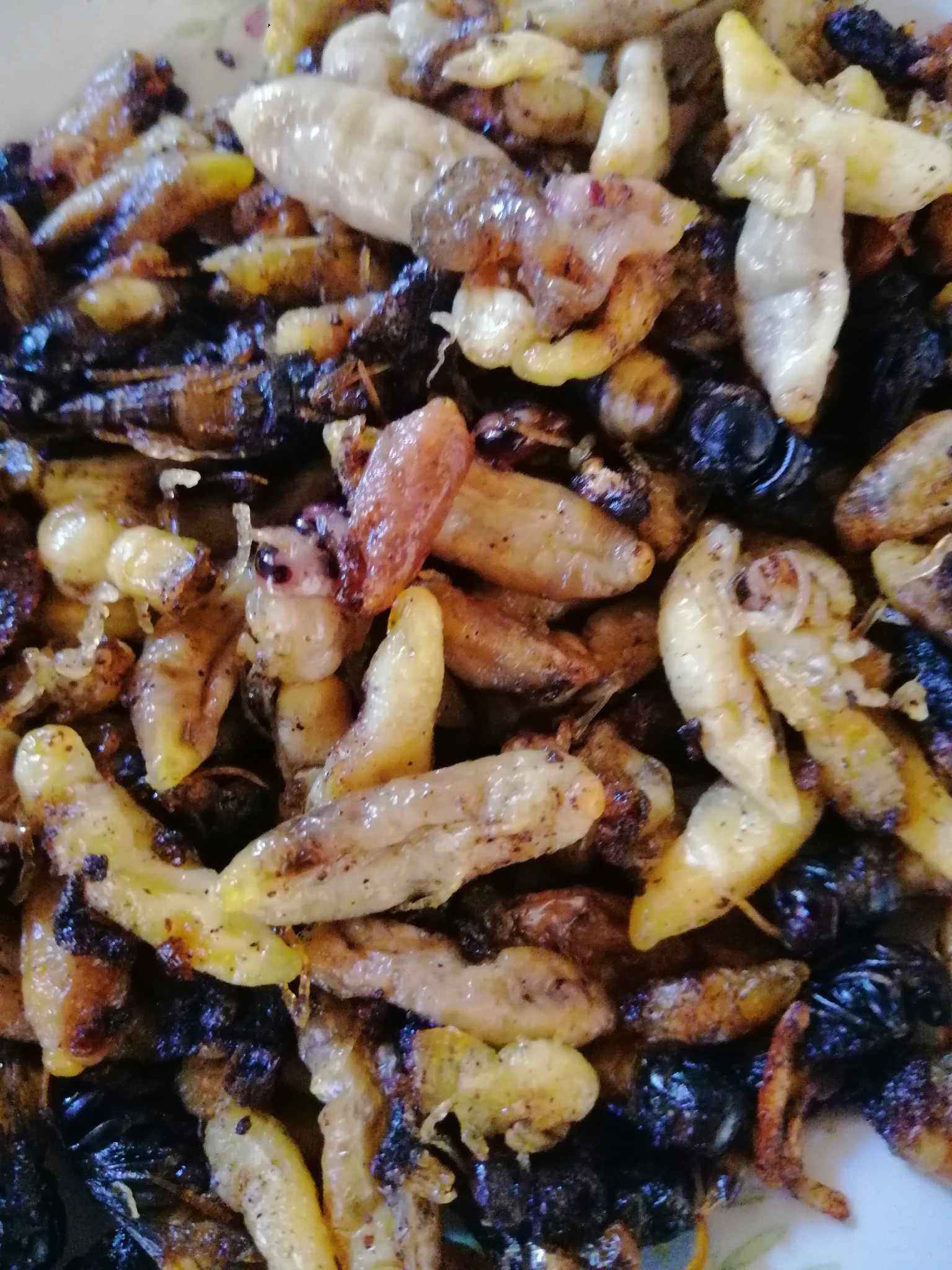 Bắt loại ong kịch độc về bán giá nửa triệu/kg, dân vẫn chịu chi mua về ăn-4