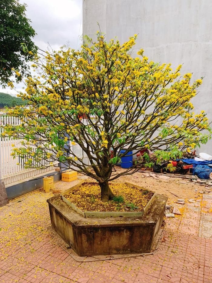 Khung cảnh giản dị nhà Minh Kiên, nàng Á hậu có hoàn cảnh đặc biệt-8