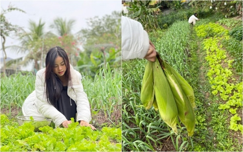 Khung cảnh giản dị nhà Minh Kiên, nàng Á hậu có hoàn cảnh đặc biệt-12