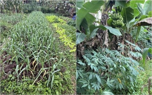 Khung cảnh giản dị nhà Minh Kiên, nàng Á hậu có hoàn cảnh đặc biệt-14