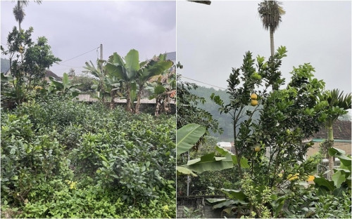 Khung cảnh giản dị nhà Minh Kiên, nàng Á hậu có hoàn cảnh đặc biệt-16