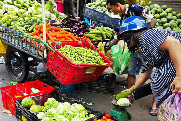 Loại rau hoàng đế” giá chỉ 60.000 đồng/kg, dân buôn ngày bán cả tạ-3
