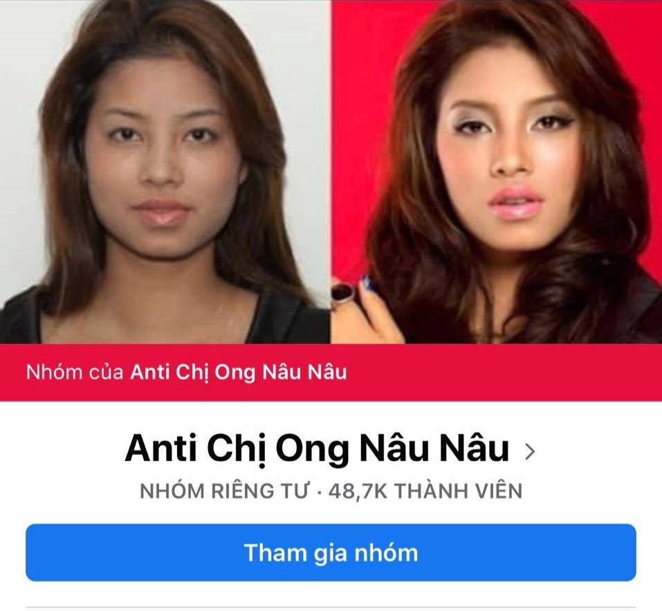 3 Hoa hậu bị lập nhóm anti-fan số lượng thành viên khủng: Hương Giang, Phạm Hương cộng lại chưa bằng Ý Nhi-3