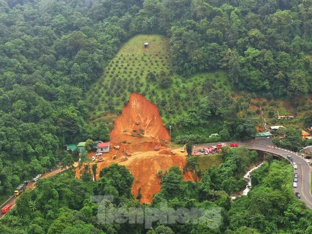 Vụ sạt lở làm 4 người chết ở Bảo Lộc: Chủ sở hữu đồi sầu riêng là ai?-1
