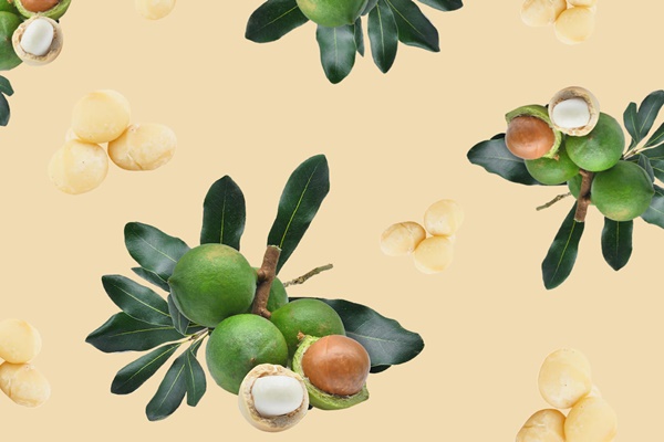 Loại hạt được giáo sư đại học Mỹ ngợi khen vì tác dụng giảm mỡ máu tuyệt vời: Có rất nhiều ở Việt Nam-1