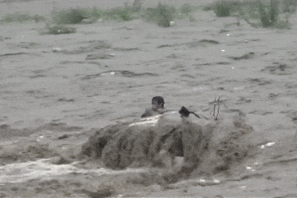 Giải cứu nhóm du khách mắc kẹt giữa sông do bị nước lũ cô lập-1
