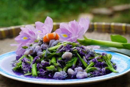 Loại cây người Việt thường vứt bỏ hóa ra lại là vị thuốc quý, món ăn ngon tại nhiều nước