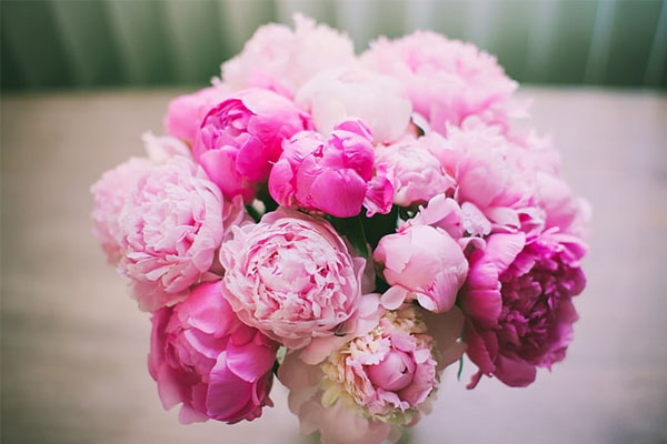 Tử vi ngày 3/8/2023 của 12 cung hoàng đạo: Song Tử ham học hỏi, Bọ Cạp thông minh-1