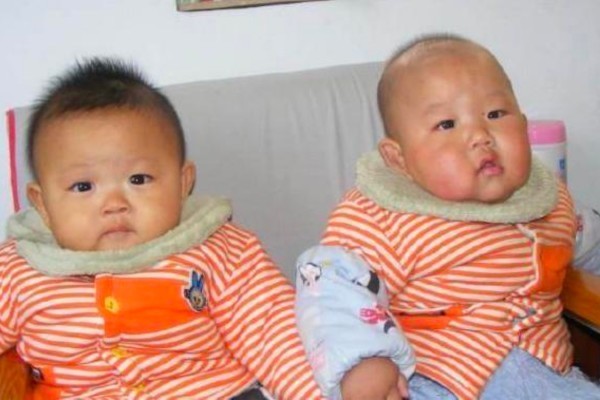 Con trai sinh đôi càng lớn càng khác nhau, chồng tức giận đòi làm ADN, kết quả khiến chúng tôi ly hôn-2