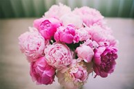 Tử vi ngày 3/8/2023 của 12 cung hoàng đạo: Song Tử ham học hỏi, Bọ Cạp thông minh