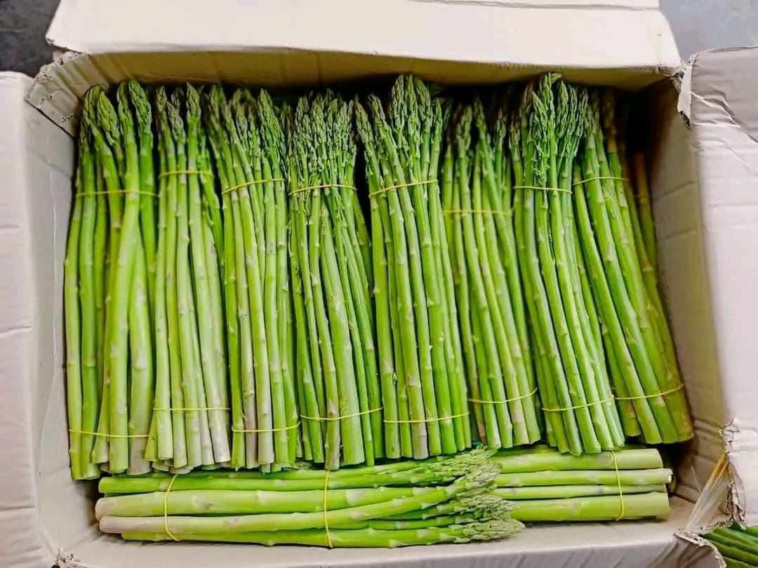 Loại rau hoàng đế” giá chỉ 60.000 đồng/kg, dân buôn ngày bán cả tạ-2