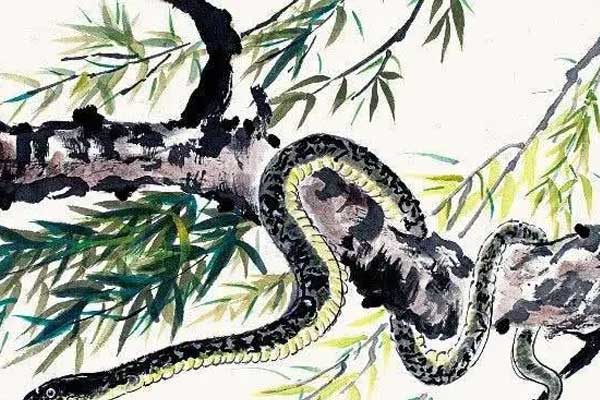 8 ngày tới là thời điểm vàng để 4 con giáp này cá chép hóa rồng”: Đã bước qua giai đoạn vận hạn, giờ là lúc chớp thời cơ để hốt bạc”-1