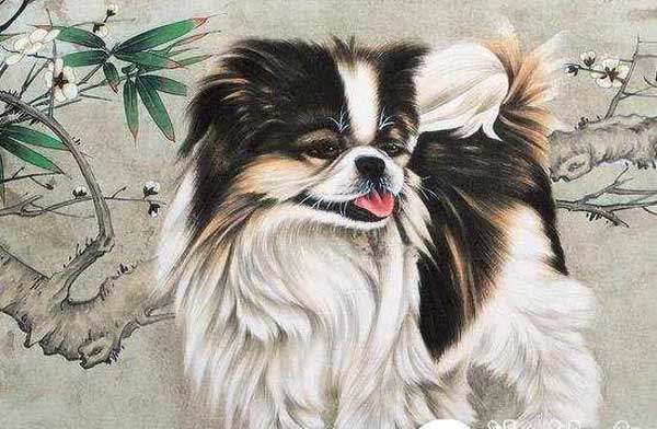 8 ngày tới là thời điểm vàng để 4 con giáp này cá chép hóa rồng”: Đã bước qua giai đoạn vận hạn, giờ là lúc chớp thời cơ để hốt bạc”-3