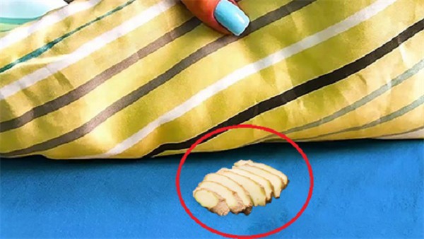 Đặt thứ có mùi này cạnh giường, đêm ngủ ngon giấc, tài lộc chảy vào túi ào ào-4