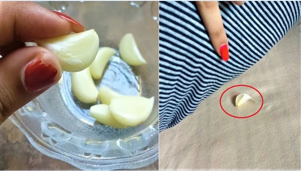 Đặt thứ có mùi này cạnh giường, đêm ngủ ngon giấc, tài lộc chảy vào túi ào ào-3