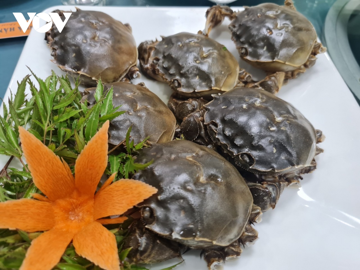 Một loại cua bò dưới sông Cầu của Bắc Giang là cua gì, trông thế nào mà đại gia, nhà giàu muốn ăn?-3