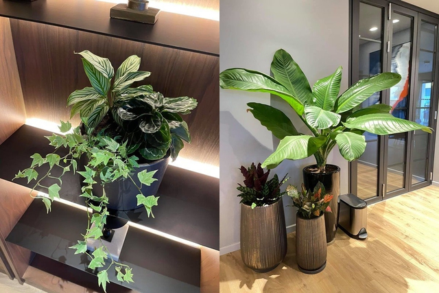 Căn penthouse của MC Thành Trung và vợ cựu tiếp viên hàng không: Rộng 260m2, nội thất sang xịn chuẩn đẳng cấp-17