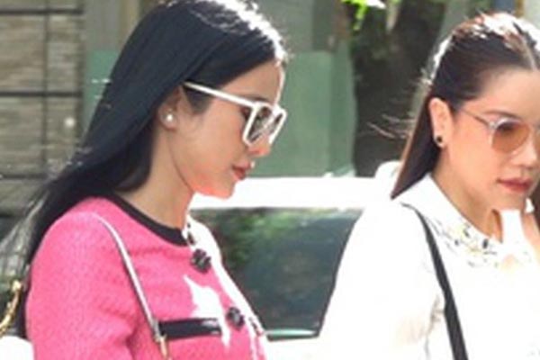 Diệp Lâm Anh vắng mặt trong phiên toà phúc thẩm giải quyết vụ ly hôn, lý do là gì?-2