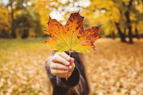 8 năm hôn nhân không bằng 2 tháng anh dan díu với tình trẻ