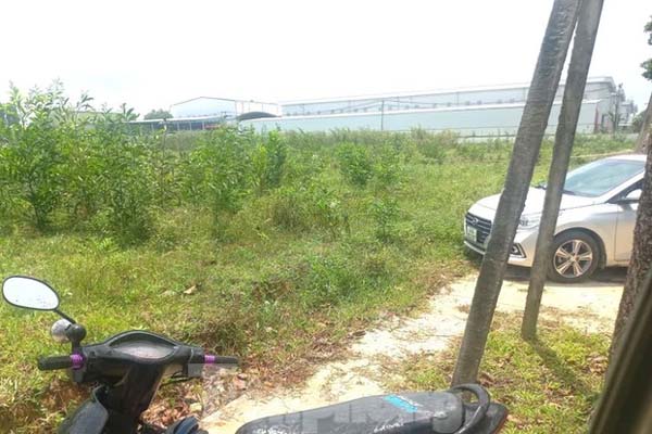 Lời khai của nhóm nghi phạm sát hại cần thủ ở Bình Dương-2