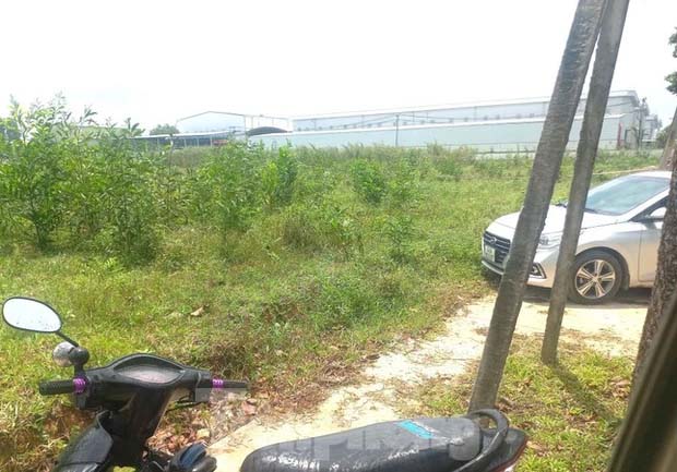 Đang câu cá, một cần thủ bị sát hại, cướp xe máy-1