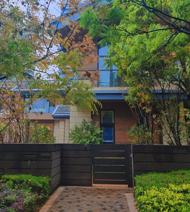 Biệt thự rộng 400m2, sân và bên hông nhà trồng đủ loại cây khiến chủ nhân nghĩ đang sống trong rừng-2