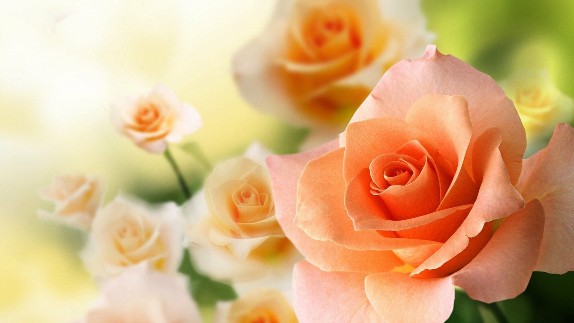 Sinh vào 3 tháng Âm lịch này, đàn ông hay phụ nữ đều xởi lởi trời cho, hậu vận phúc lộc dồi dào-2