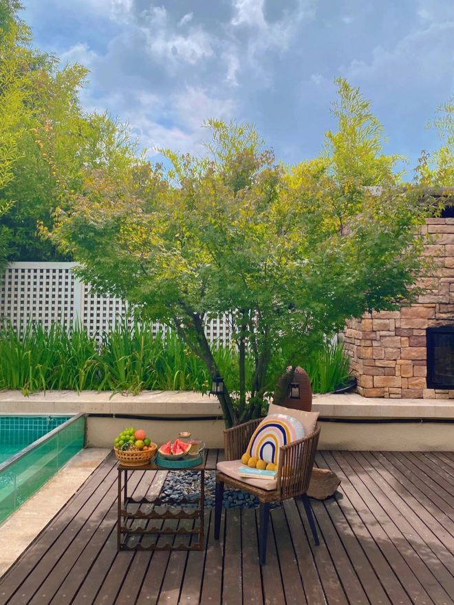 Biệt thự rộng 400m2, sân và bên hông nhà trồng đủ loại cây khiến chủ nhân nghĩ đang sống trong rừng-3