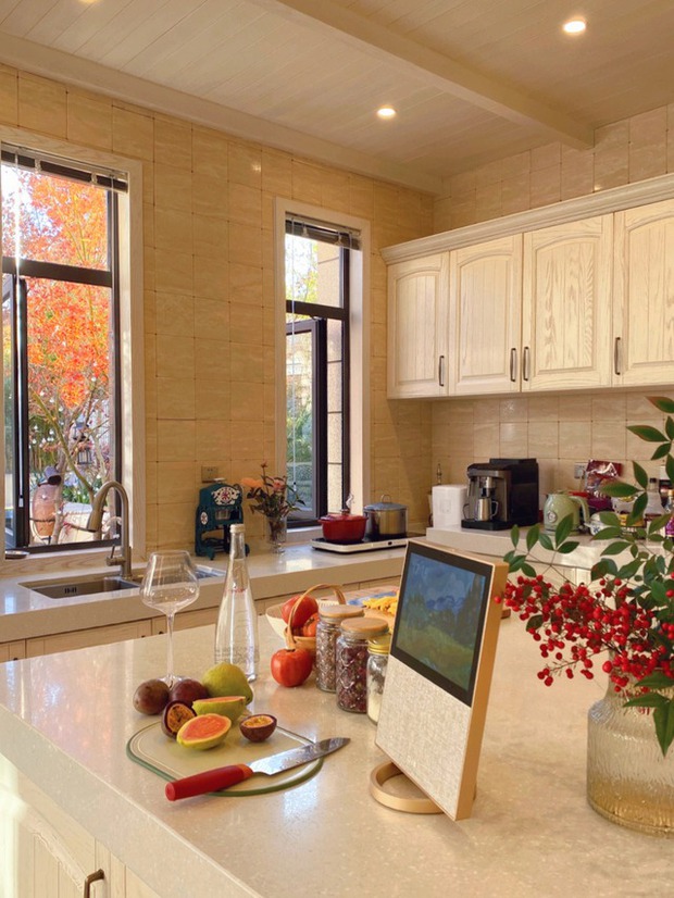 Biệt thự rộng 400m2, sân và bên hông nhà trồng đủ loại cây khiến chủ nhân nghĩ đang sống trong rừng-9