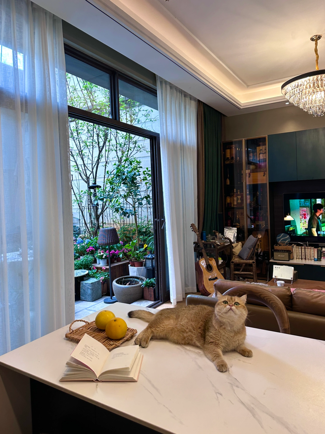 Biệt thự rộng 400m2, sân và bên hông nhà trồng đủ loại cây khiến chủ nhân nghĩ đang sống trong rừng-15