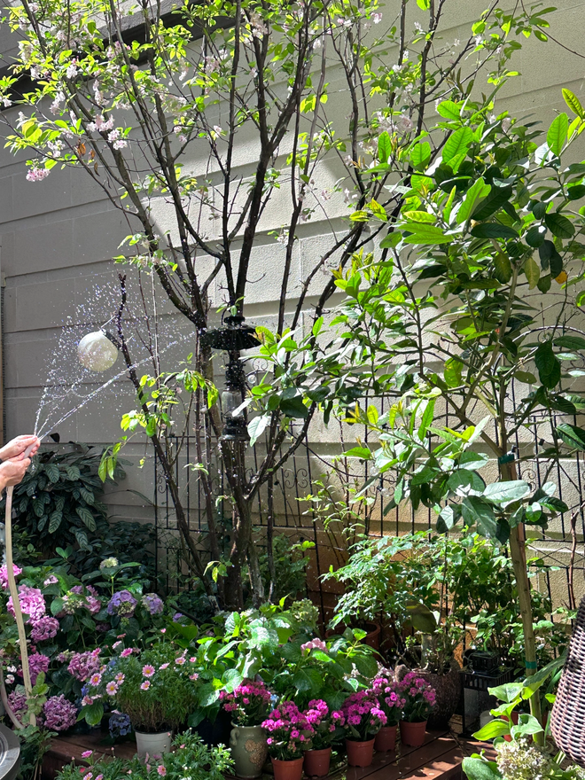 Biệt thự rộng 400m2, sân và bên hông nhà trồng đủ loại cây khiến chủ nhân nghĩ đang sống trong rừng-16